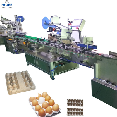 China Etikettiermaschine des Eierablagekartonkastens mit Eiplastikkästen, flache Etikettiermaschine mit Eischutzkastenei-Sandkasten fournisseur